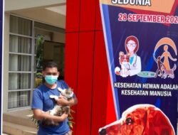 Vaksinasi Masal, Dalam Mencegah Rabies Pada Hewan