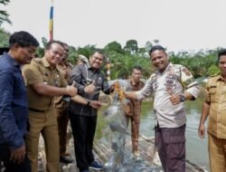 Dihadiri Bupati Bungo, Suku Anak Dalam di Dusun Dwi Karya Bakti Panen Raya Ikan.