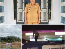 Di Bawah Kepemimpinan Rio Soma Bumdus Mulya Jaya Mulai Berkembang