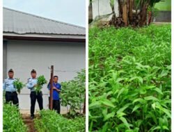Kalapas Kelas ll B Lubuk Basung, Ajak WBP Untuk Bercocok Tanam Sayur-Sayuran