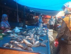 Barbeque Malam Tahun Baru, Harga Ikan Nila Dan Ayam di Bungo Tembus Rp 40 Ribu Per Kilogram