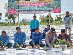 Wakil Bupati Sarolangun Gerry Trisatwika Ikuti Gerakan Tanam Cepat Panen
