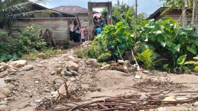 Bupati Sarolangun Tinjau Jembatan Putus Pasca Banjir